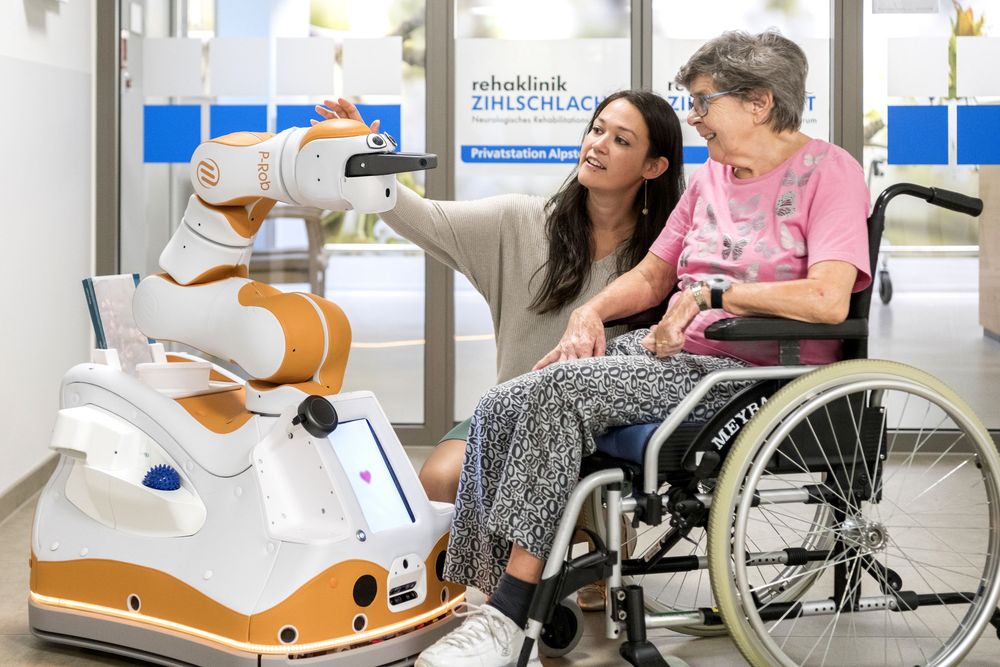 Lio Professional Personal Robot