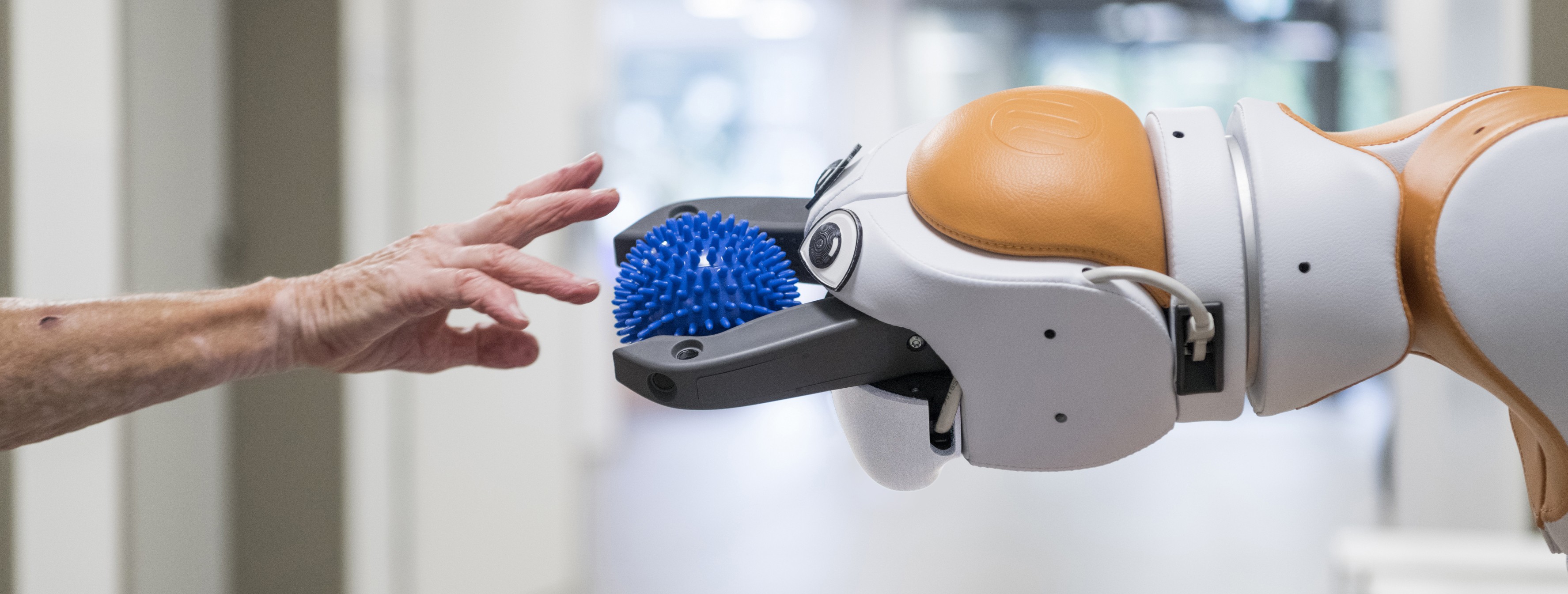 Lio Professional Personal Robot