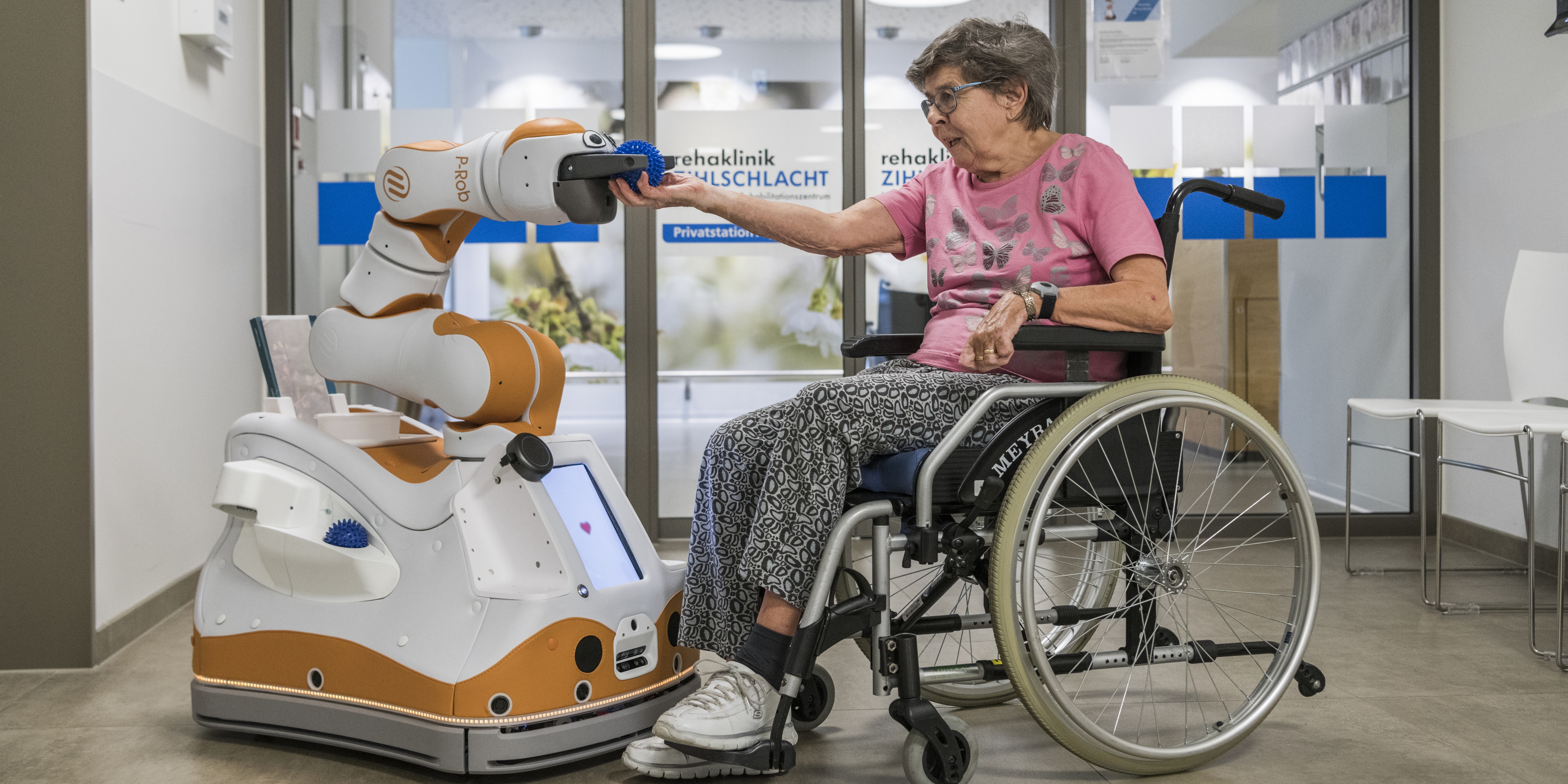 Lio Professional Personal Robot