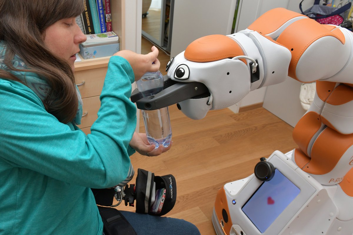 Lio Professional Personal Robot