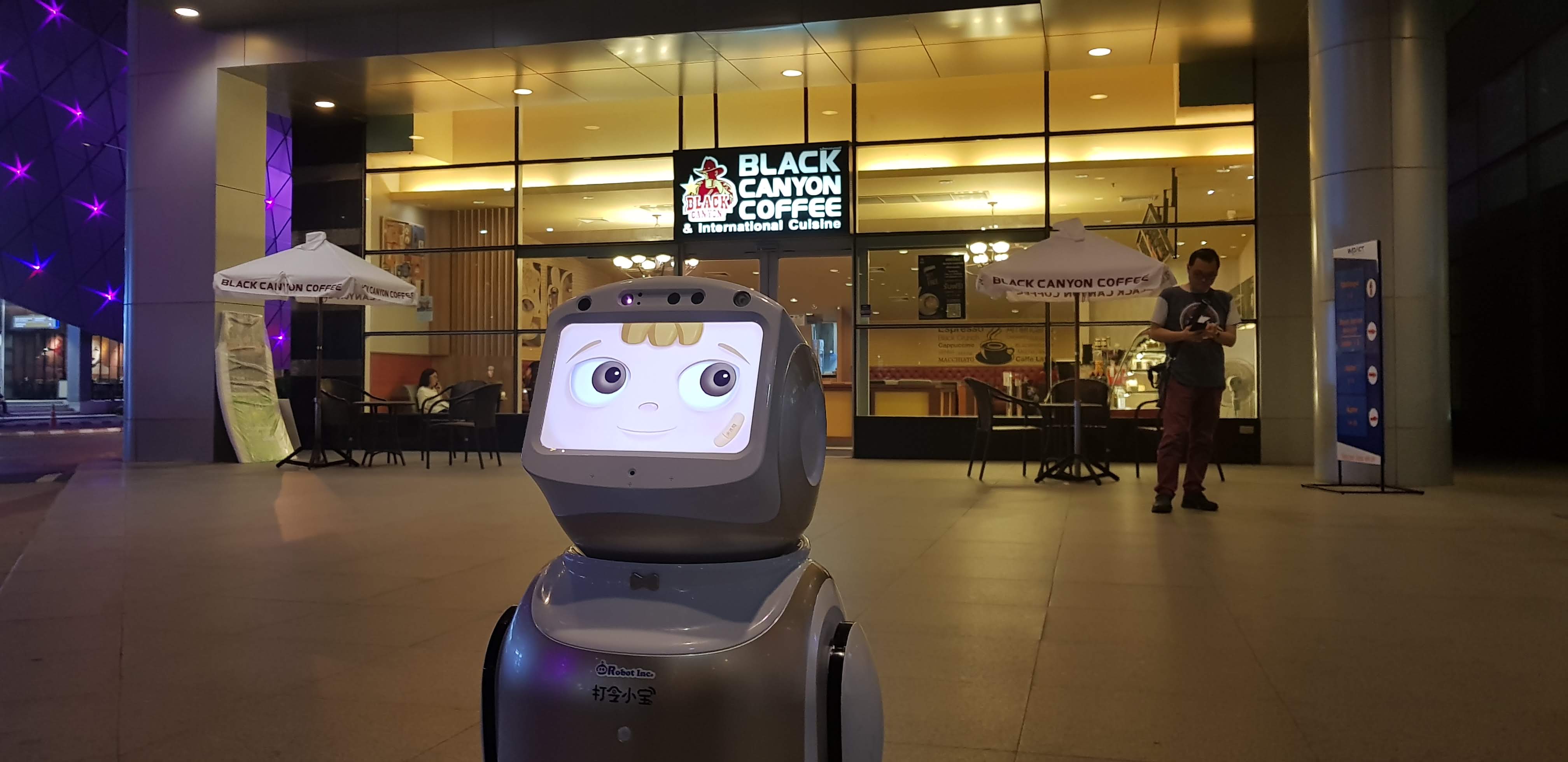Sanbot